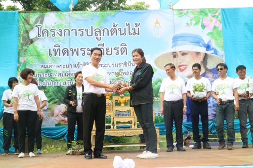 โครงการปลูกต้นไม้เทิดพระเกียรติสมเด็จพระนางเจ้าสิริกิติ์ฯ พระบรมราชินีนาถ วันแม่แห่งชาติ ปี 2560