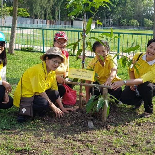 โครงการปลูกต้นไม้วันสิ่งแวดล้อม ถวายเป็นพระราชกุศล