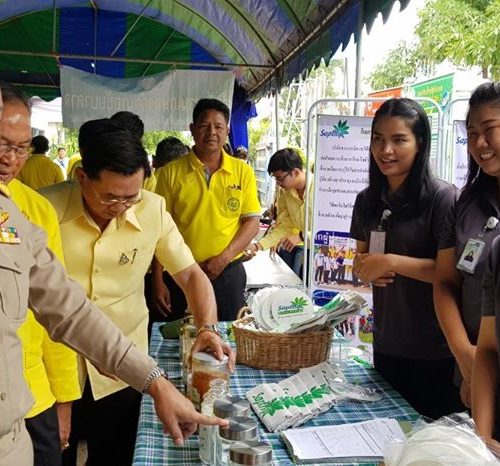 งานวันรณรงค์เพื่อควบคุมและป้องกันการแพร่ระบาดของโรคใบด่างมันสำปะหลัง